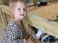 Petting Zoo Barn, Memphis TN